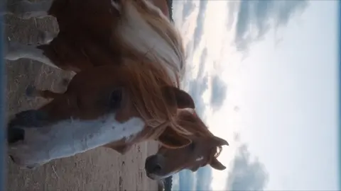 Anamorphic compressed landscape footage