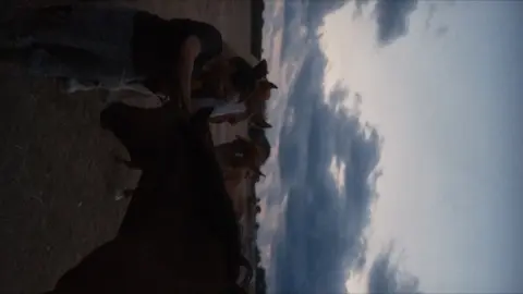 Squeezed anamorphic video clip