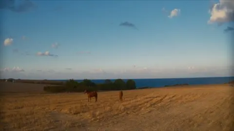 Anamorphic footage squeezed from camera